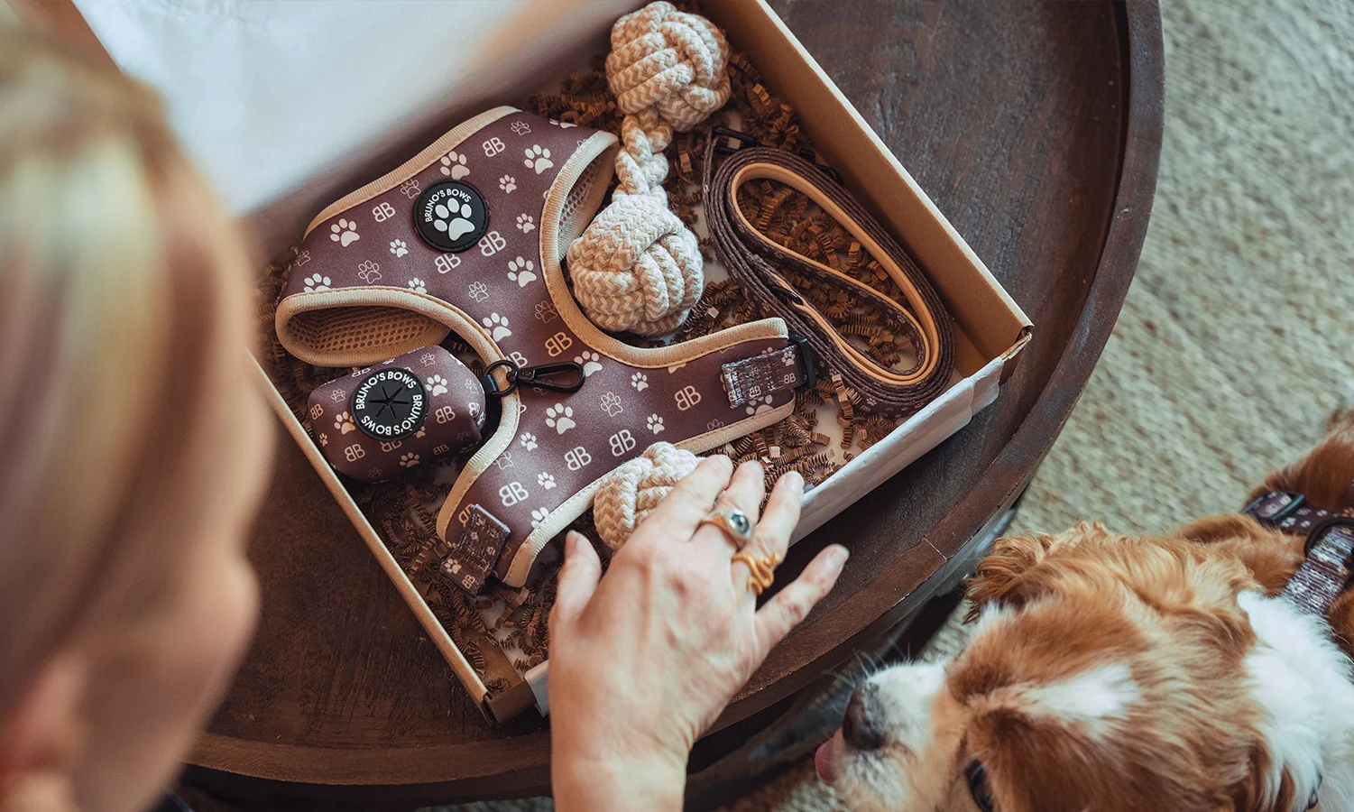 Adventure in Style and Comfort